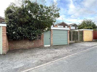 Picture 24
